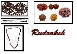 Rudraksha 1 Mukhi