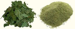 Neem Powder