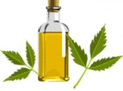 Neem Oil