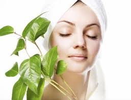 Ayurvedic Skin Care Products