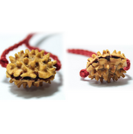 Rudraksha Beads