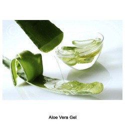 Aloe Vera Gel