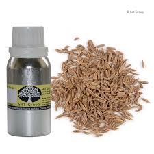 Caraway Oil