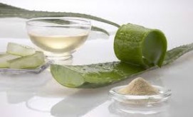 Aloe Vera Powder