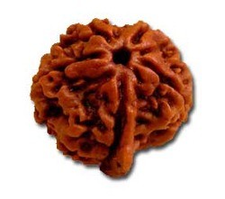 Rudraksha Beads