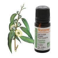 Eucalyptus Oil