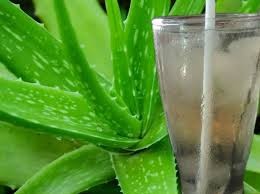 Aloe Vera Juice