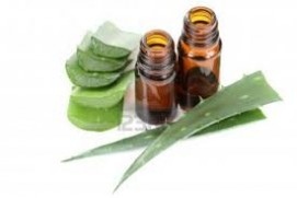 Aloe Vera Oil