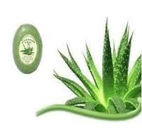 Aloe Vera Soap