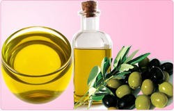 Olive Oil