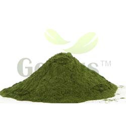 Wheat Grass Powder