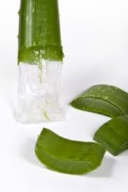 Aloe vera gel