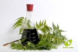 Neem oil