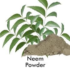 Neem powder