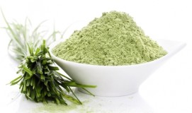 WheatGrass Powder