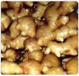 Ginger Oil