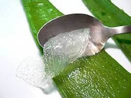 Aloe Vera Products