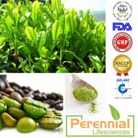 Herbal Extract