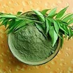 Neem Powder