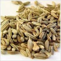 Fennel Oil