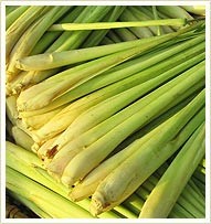 Lemongrass Oil