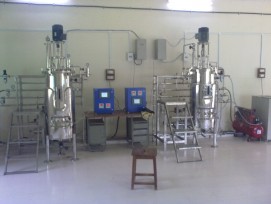 Twin Fermenters