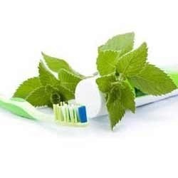 Herbal Toothpaste