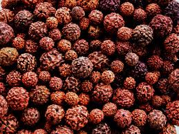 Rudraksha Beads