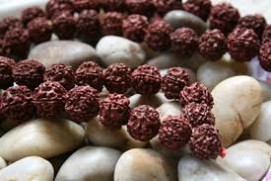 Rudraksha Beads