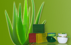 Aloe Vera Products