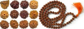 Rudraksha Beads