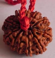 Rudraksha Beads