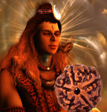 Rudraksha Beads