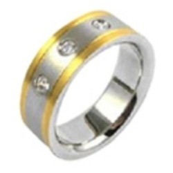 Bio Magnetic Ring