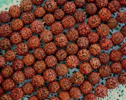 Rudraksha Beads