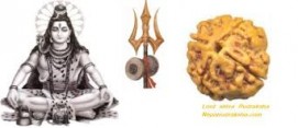 Rudraksha Beads