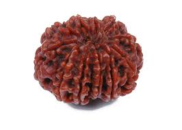 Rudraksha Beads