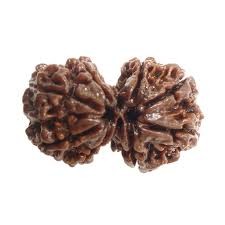 Rudraksha Beads