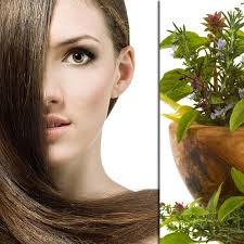 Herbal Hair Oil