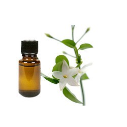 Jasmine Oil