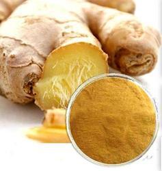 Ginger Oil