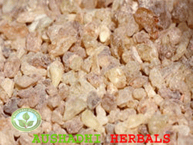 Boswellia Akba Extract