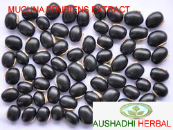 Mucuna Extract