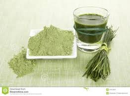 Wheat Grass Powder