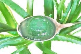 Aloe Vera Gel