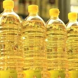 Sunflower Oil