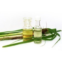 Citronella Oil