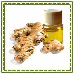 Ginger Oil