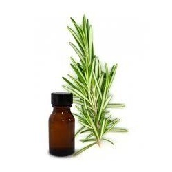 Rosemary Oil