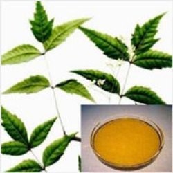 Neem Oil